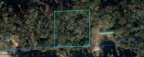 Land in Rural Bronson, Florida