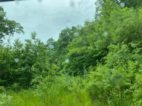 Residential Land in Pikeville, KY