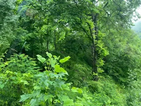Residential Land in Pikeville, KY