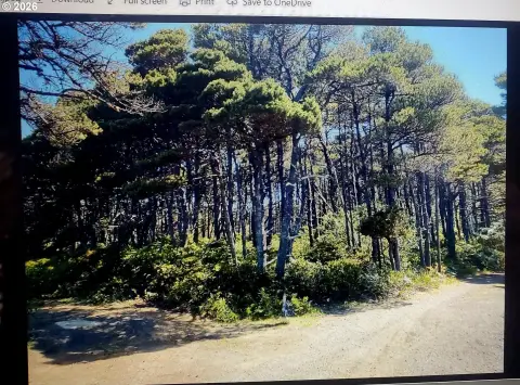 Wakonda Beach Treed Lot