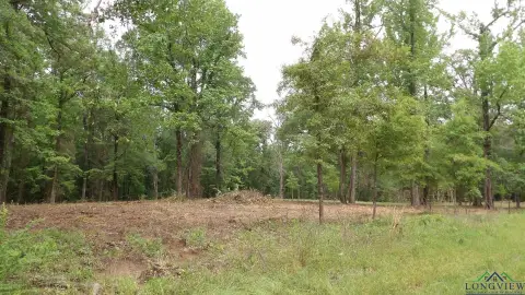 18 Acres Near Caddo Lake
