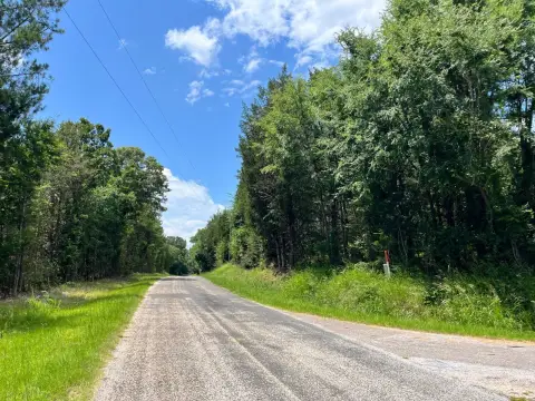 Rural Timberland with Road Frontage