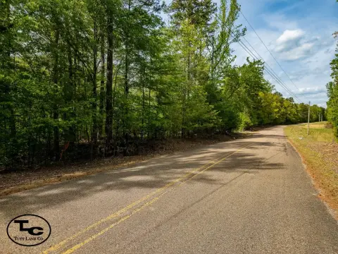 Surveyed Hunting Land with Road Access