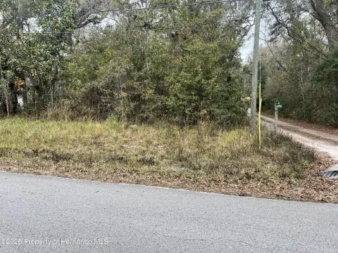Brooksville, FL Half-Acre Land