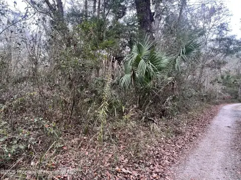 2-Acre Lot in Brooksville, FL