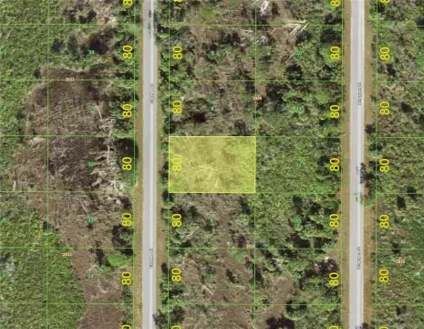 Port Charlotte Land Investment Opportunity