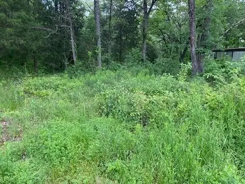 Waterfront Lot in Mabank, Texas