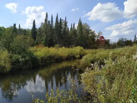 Recreation Land with Creek