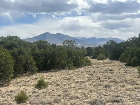 Mountain Land With Wildlife Habitat