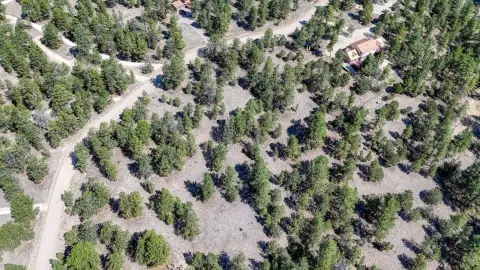 Wooded Residential Land Parcel