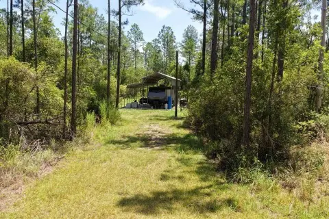 Turn-Key Hunting Camp Retreat Land