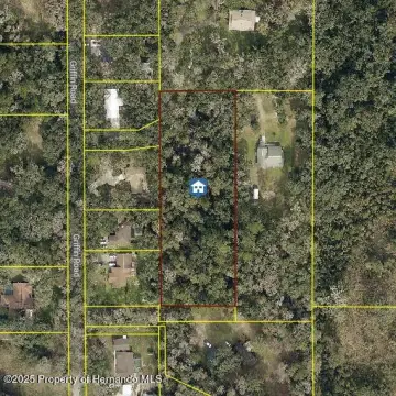 Land Near Downtown Brooksville