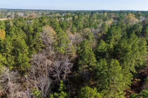 70 Acres Wooded Land