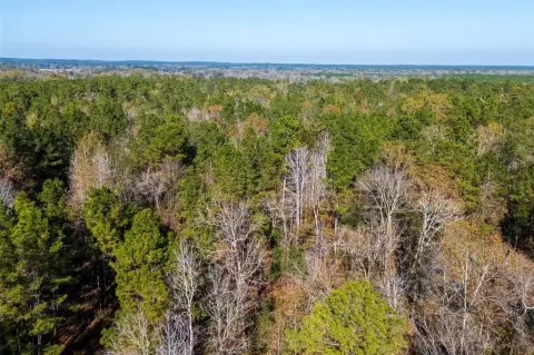51.5 Acres of Wooded Land