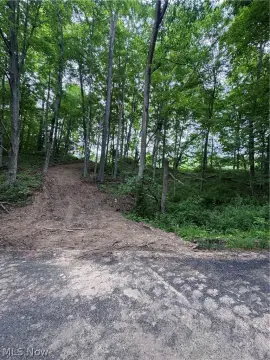 Stockport, OH Land Opportunity