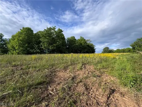 Stockport, OH Wooded Acreage
