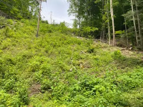 Pikeville Wooded Residential Land