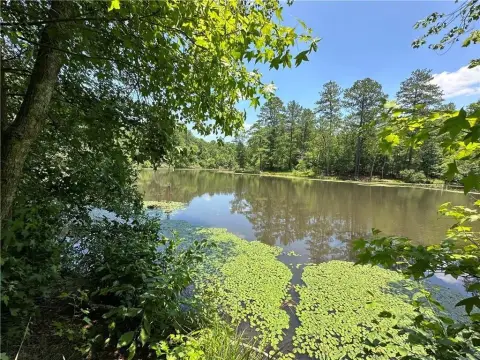 Prime Covington Acreage Near Jackson Lake