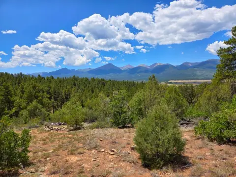 Recreational Land Parcel
