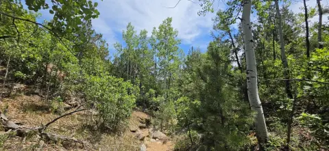 Recreational Mountain Land Parcel
