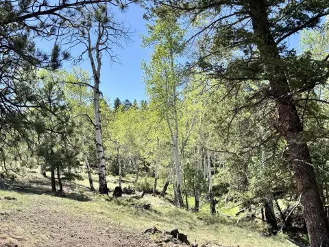 Rolled-Terrain Agricultural Land Tract