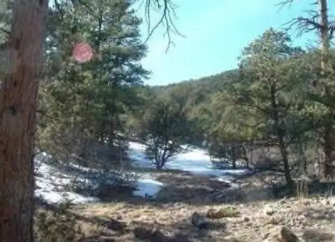 Land in Cotopaxi, Colorado