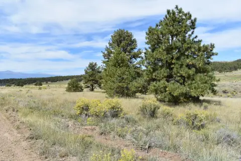 Westcliffe Land with Mountain Views