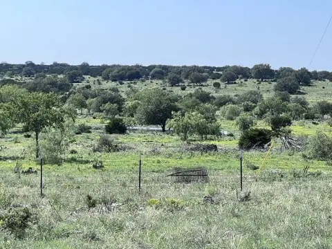 Hunting Land with Wildlife Habitat