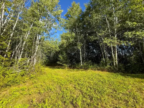 Hunting Land with Open Area