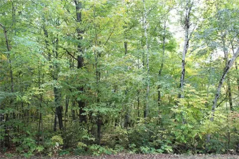 Wooded Acreage with River Valley Views