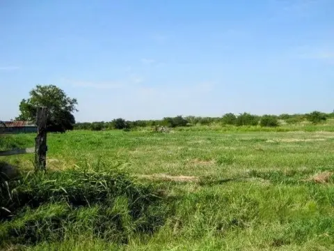 Unimproved Land in Whitesboro, Texas