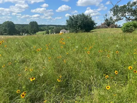 One Acre Lot in Athens