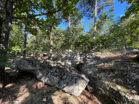 Scenic Mountain Hunting Land