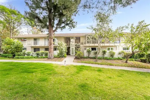 Modern Multi-Family Property