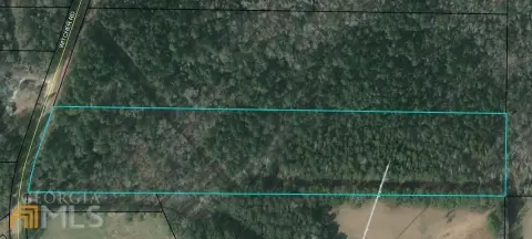 Wooded Acreage in North Coweta