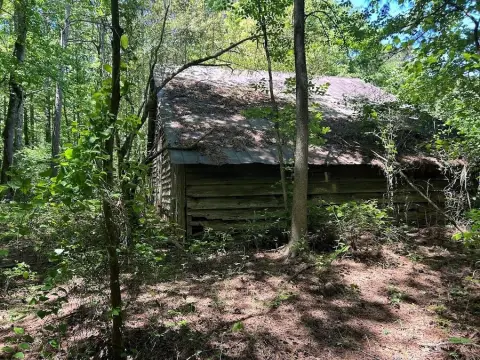 Land with Mature Timber