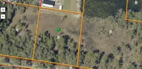 Spacious Lot in Webster, Florida