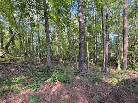 Gated Waterfront-Adjacent Home Lot