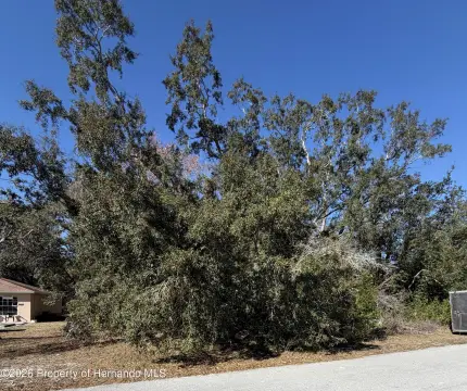 Multifamily Development Opportunity in Spring Hill