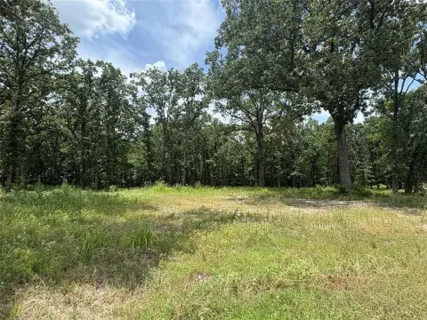 Lake Fork Ready-to-Build Lot