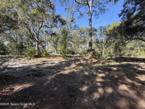 Vacant Land Parcel