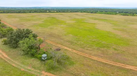 Agricultural Land with Mature Oak Trees