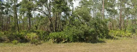 Residential Lot in Port Charlotte