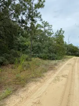 Residential Lot in Inverness