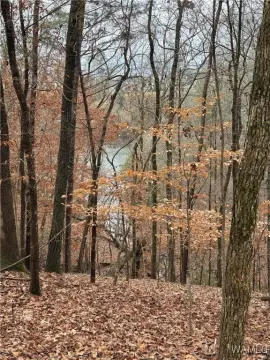 Waterfront Lot in Crown Pointe