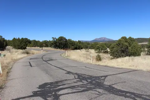 Wooded Land in Gated Community