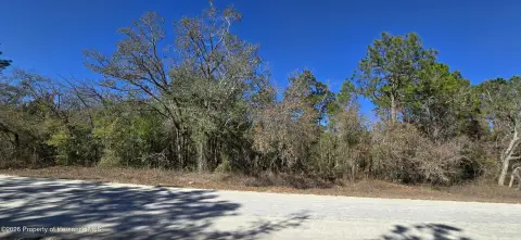 Residential Land in Brooksville, Florida
