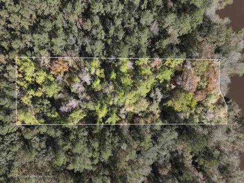 Leaf River Waterfront Acreage