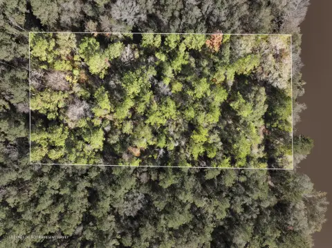 Leaf River Waterfront Acreage