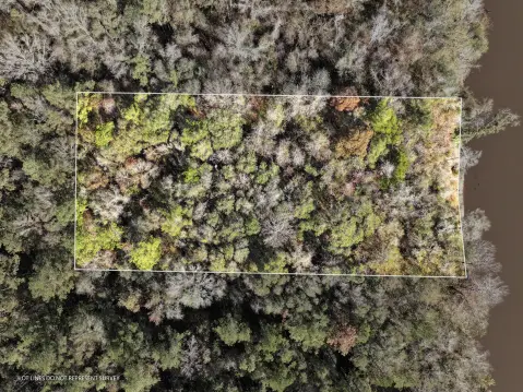 Leaf River Acreage Opportunity